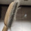 Brosse de démêlage pour chats, outil de toilettage, de-Jaune 6