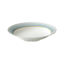 Ceramic Dinnerware Set with Restaurant Plates, Microwave Safe Scratch Resistant Hotel Style Soup Dishes