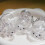 Plastic Rabbit Hair Storage Pendant Spacious-rabbit B nd C 3