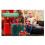 Christmas Storage Bag PE Materials Waterproof Holiday-Green 5
