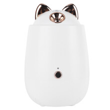 Glowing Skin Symphony, DIY-Masken-Set für natürliche Hautpflege, tragbarer Mini-Luftbefeuchter mit USB-Anschluss, ideal für Zuhause, Büro und