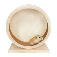 Silent Exercise Wheel for Small Pets like Chinchillas and Gerbils Medium Size