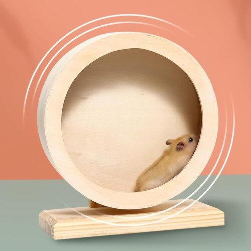 Silent Exercise Wheel for Small Pets like Chinchillas and Gerbils Medium Size 1