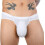 Elephant String Thong Men's Mesh Underpants Thong Transparent Large Sizes Panties 2