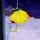 Decorative Water Plant Colorful Artificial Leaf Beautify-4 7