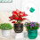 Pot de fleurs en plastique Transparent à-Couleur transparente 2