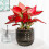 Pot de fleurs en plastique Transparent à-Couleur transparente 5