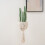 Multipurpose Cotton Rope Hanging Organizer Decorative Plant-B 7