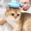 ABS Pet Deshedding Comb Gentle Massage Tool For Reducing-White 3