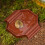 Mini Plastic Schildpadden Inweekkom Compacts-Bruin geel 3