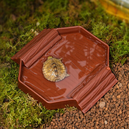 Mini Plastic Schildpadden Inweekkom Compacts-Bruin geel 2