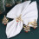 Tableware Metal Napkin Rings Christmas Tree Sparkling 3