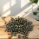 10-teiliges Schaumstoff-Cluster-Set mit künstlichem Olivenholz, 7