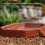 Mini Plastic Schildpadden Inweekkom Compacts-Bruin geel 5