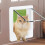 Doors for Cats  Inner Cat Door, Small 4Way Locking  Cat Door 3