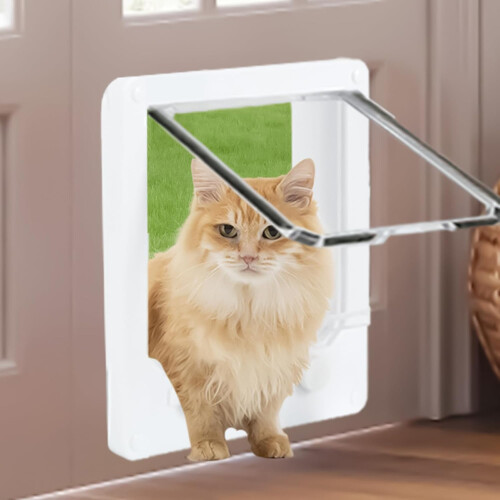 Doors for Cats  Inner Cat Door, Small 4Way Locking  Cat Door 2