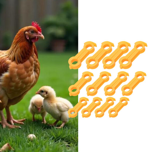 Adjustable Chicken Leg Brace Safe Durable Plastic Leg Fixer For 1