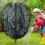 Fruit Tree Netting Bag Drawstring Fine Mesh Garden-1.8x1.8m 3