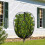 Fruit Tree Netting Bag Drawstring Fine Mesh Garden-2x2.4m 7