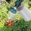 Adjustable Water Guns Nozzle Multifunctional Hose Washer Garden 6