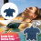 Pool Surfaces Scum Sponge Oil Filter Cleaner Tool for-L 3 2