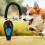 Dog training clicker, clicker and whistle, 6.5 x 3.0 cm behavior training aid, silent recall device, includes wrist strap 5