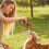 Dog Clicker  Dog Training Clicker with Discreet Strap 4