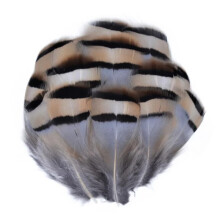 All Kinds Natural Pheasant Feathers Peacock Feathers Small Feather Crafts Jewelry Holiday Decorations 37cm 100pcs
