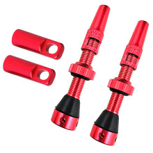 Tubeless Bikes Valves Stem Kits 60mm Tubeless Valve Stems, Integrated Valve Cores, Remover Tool, Valve Stem Caps