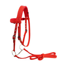 Horse Bridle Reins Halter, 20 mm PP Webbing Horse Halter Bridle Thickened Halter Riding Equipment for Outdoor Riding Training, Red, M M Red