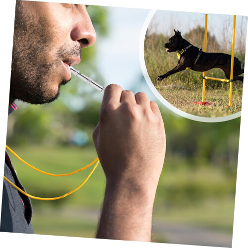 Dog training whistle dog whistle training dog trainer silver 2