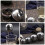 Home 304 Gewürz Kugel Silber 4 10