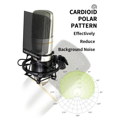 Studio Recording Microphone Home Studio-Simple decoration 1