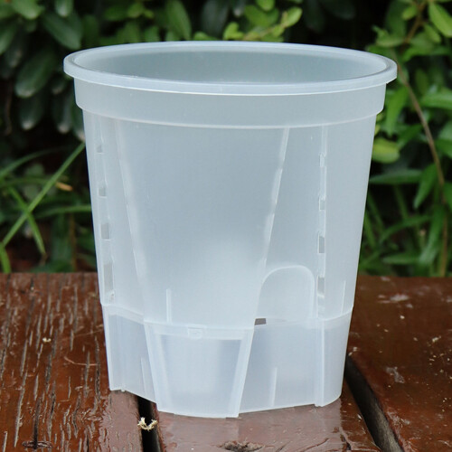 Pack of 6 Automatic Watering Transparent Plant Pots for Root 1