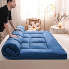 Japanese Futon Mattress 10 cm Thick, Roll Up Foldable Pad, Soft Topper for Guest Bed, Pain Relief, Black, Double/Single
