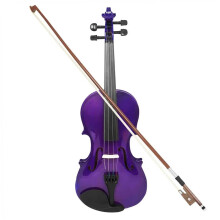 4/4 Violin Set Full Size Spruce Wood/Solid Wood Acoustic Violin for Beginners with Case and Bow (Purple)