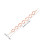 4Ud Extensores De Para Rosa Con 11