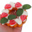 Multifunctionele Donut in PU Realistische Nep 4