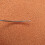 Set Spilli Neri Per Parrucca Con Contenitore 4