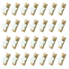 100St Foto Clips Diverse Kleuren Decoratieve Memosclips