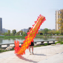 Chinese Fitness Dragon Poi for Kids Outdoor Juggling 7 Styles Art Dance Flag