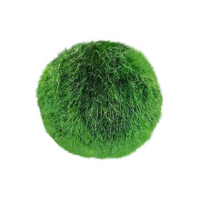 Aquarium Moss Balls, Natural Aquatic Plants, 8Pack for Fish Tank Decor