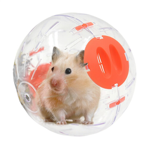 Hamster wheel, quiet interactive dwarf hamster wheel, multifunctional small pet accessory, pink, 16 cm