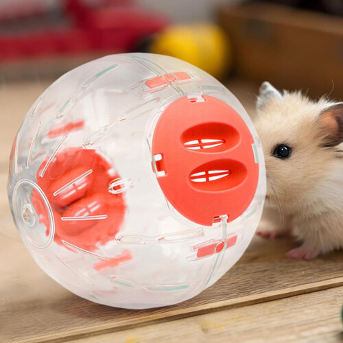 Hamster wheel, quiet interactive dwarf hamster wheel, multifunctional small pet accessory, pink, 16 cm 1
