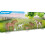 PLAYMOBIL play set Country Ponies with foals junior 6-piece 1