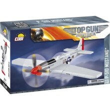 P - 51D Mustang