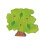 Goki Oak 1