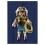 PLAYMOBIL Playmobil Novelmore - Dario's Glider 5