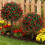 Pack of 2 Realistic Artificial Lavender Bushes Resistant-Red 5