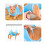 Hamacs de soins pour animaux de compagnie pour petits animaux,-S 5